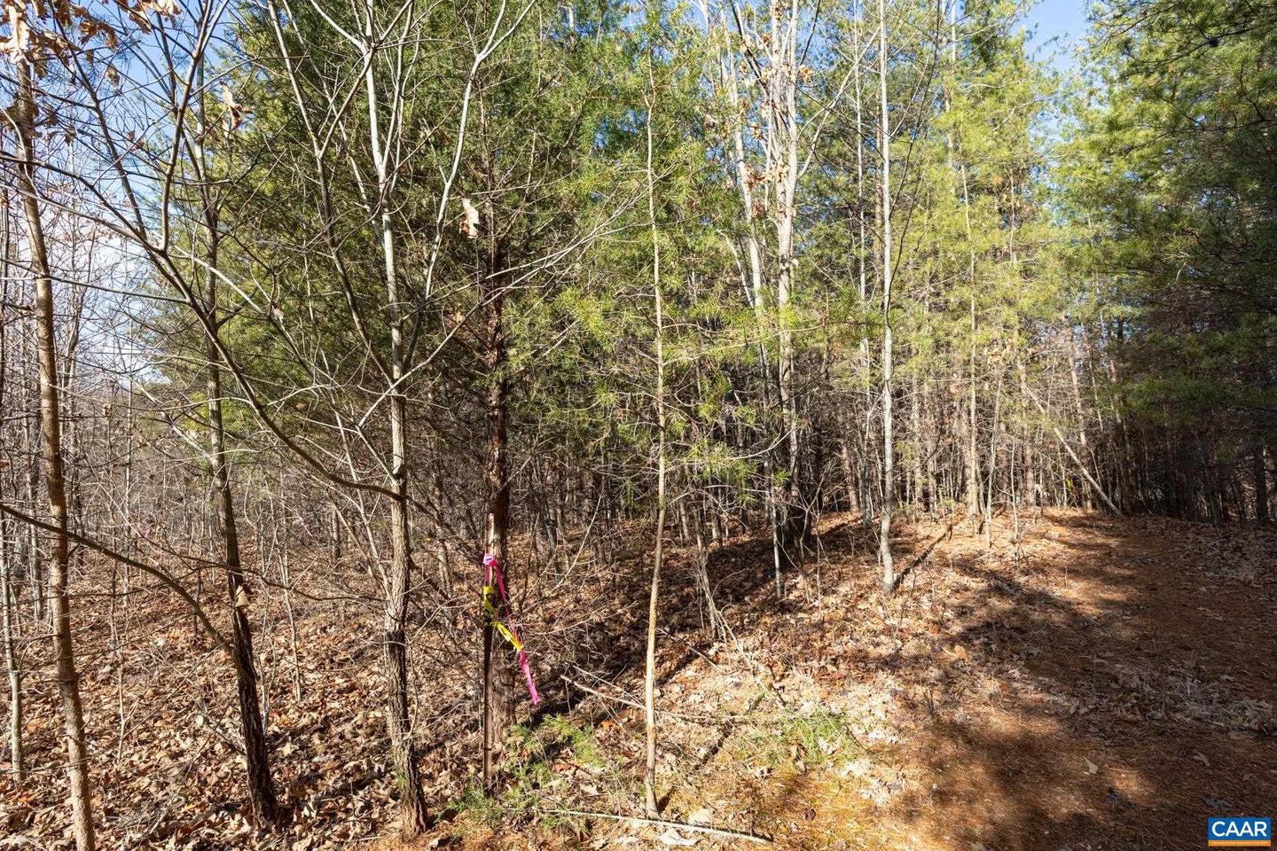 3.94 AC PEACE AND QUIET CIR, REVA, Virginia 22735, ,Land,For sale,3.94 AC PEACE AND QUIET CIR,672167 MLS # 672167