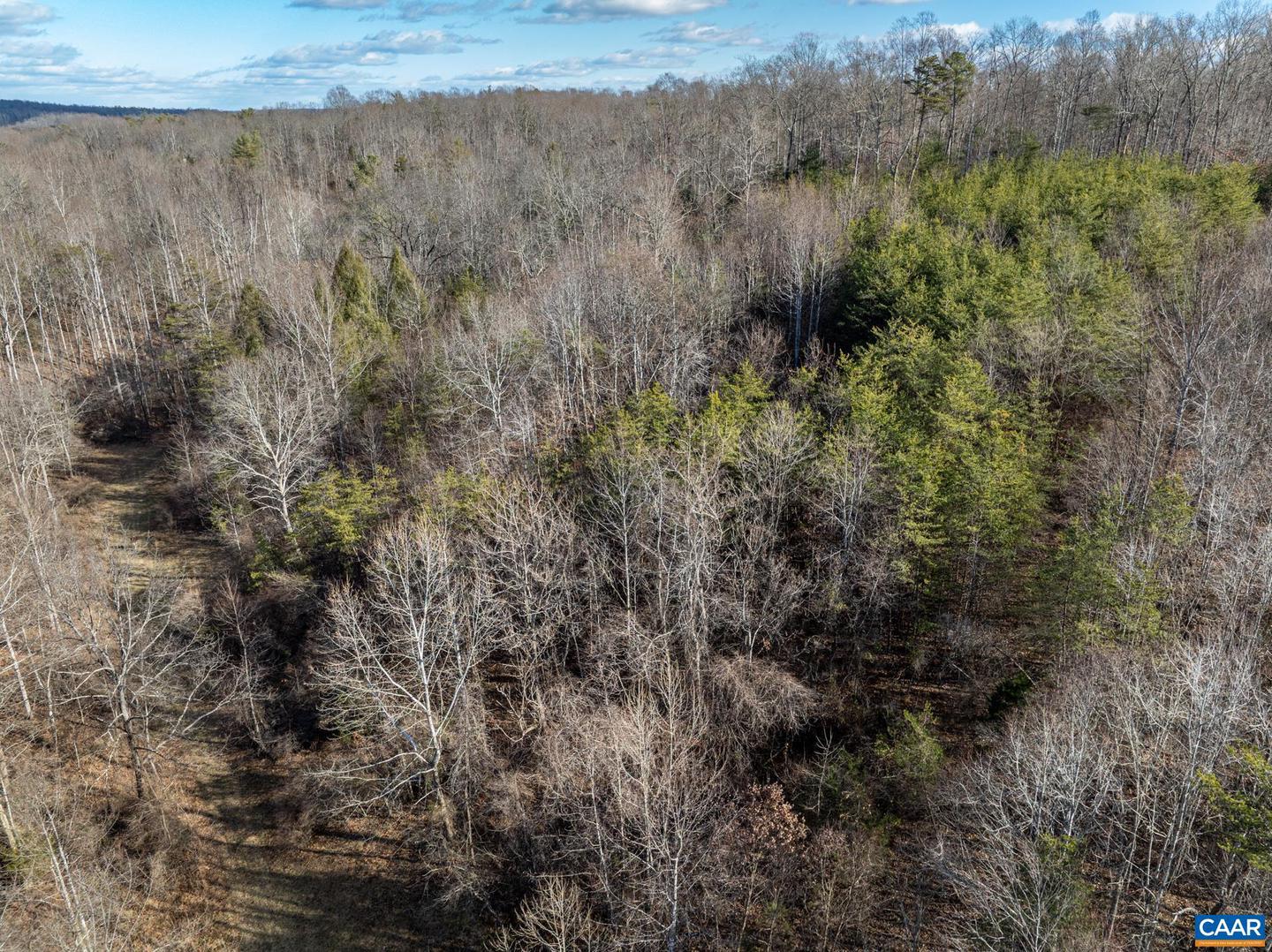 3.94 AC PEACE AND QUIET CIR, REVA, Virginia 22735, ,Land,For sale,3.94 AC PEACE AND QUIET CIR,672167 MLS # 672167