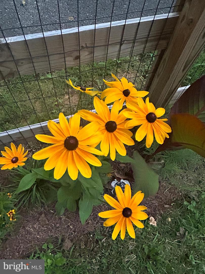 3466 MIDDLE RD, WINCHESTER, Virginia 22602, 3 Bedrooms Bedrooms, ,3 BathroomsBathrooms,Residential,For sale,3466 MIDDLE RD,VAFV2038362 MLS # VAFV2038362