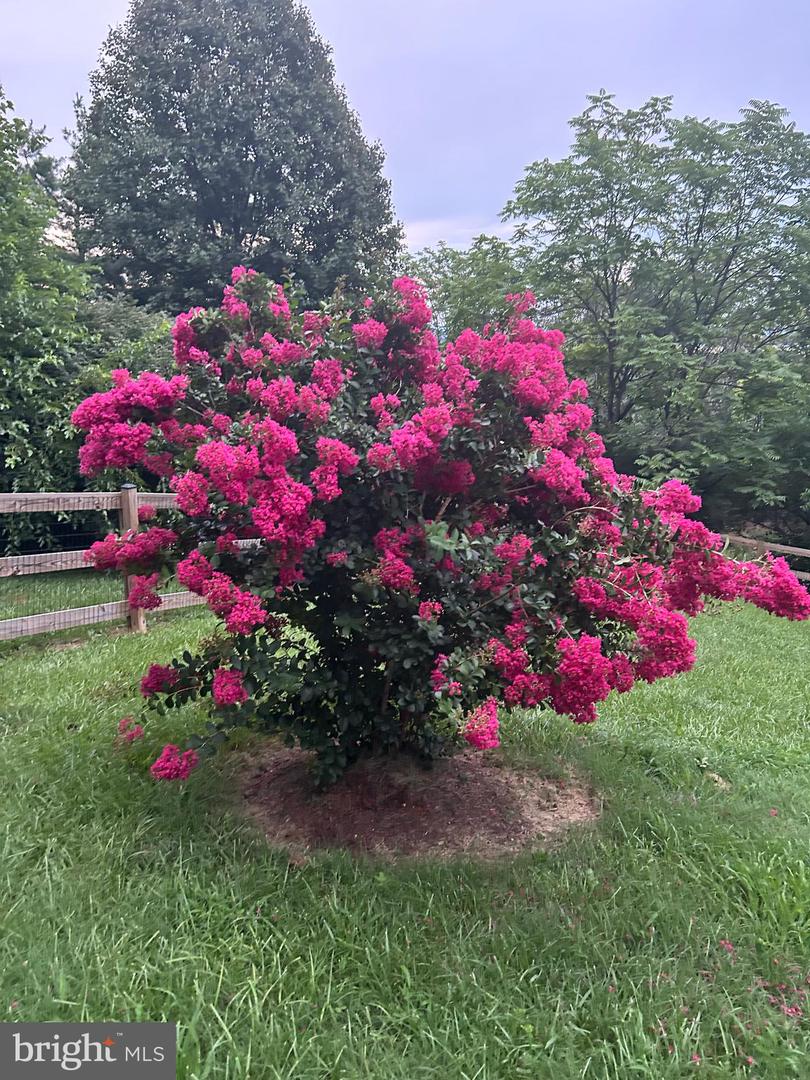 3466 MIDDLE RD, WINCHESTER, Virginia 22602, 3 Bedrooms Bedrooms, ,3 BathroomsBathrooms,Residential,For sale,3466 MIDDLE RD,VAFV2038362 MLS # VAFV2038362