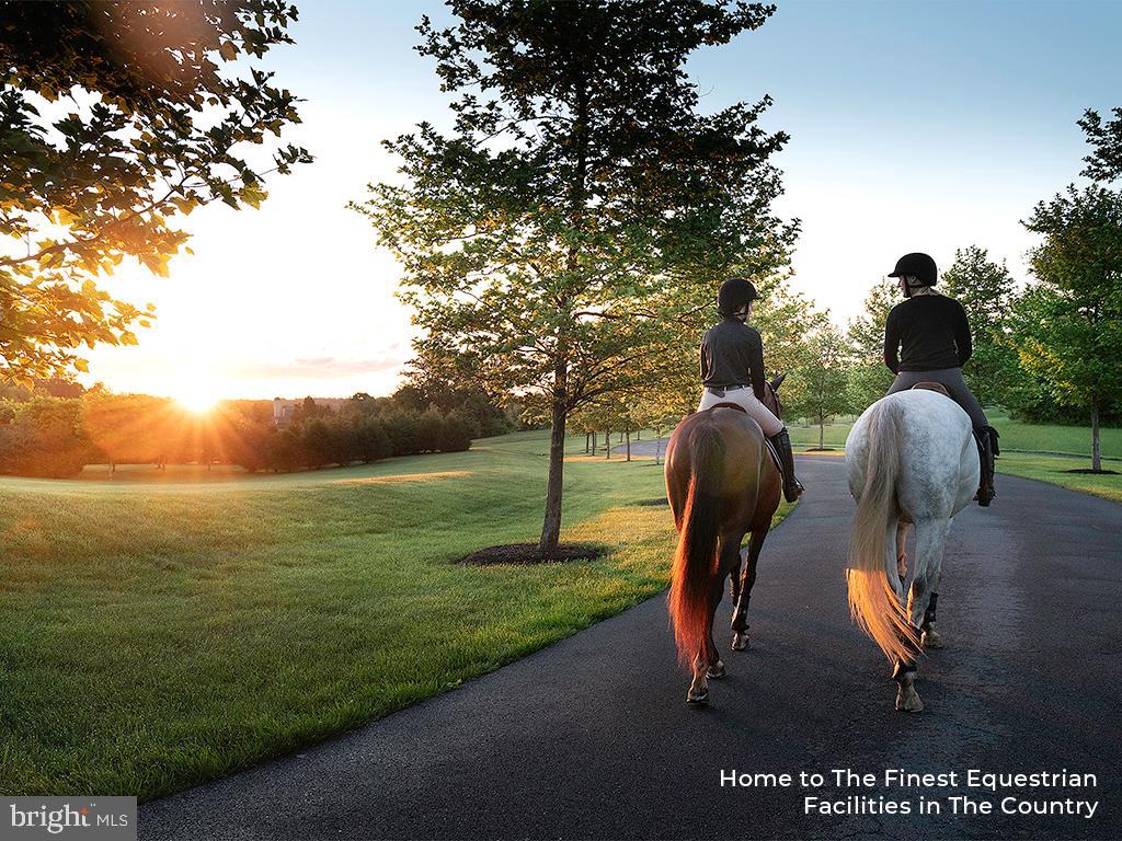 400 MARTINGALE RIDGE DR, MIDDLEBURG, Virginia 20117, 2 Bedrooms Bedrooms, ,2 BathroomsBathrooms,Residential,For sale,400 MARTINGALE RIDGE DR,VALO2087514 MLS # VALO2087514