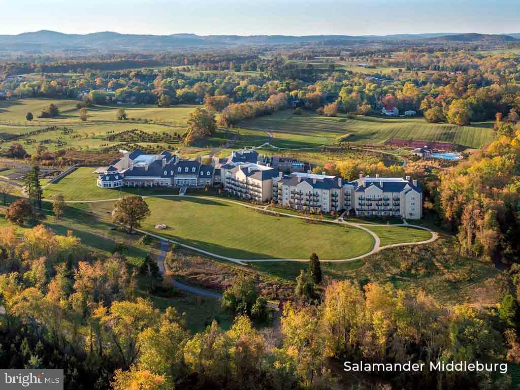 505 MARTINGALE RIDGE DR, MIDDLEBURG, Virginia 20117, 4 Bedrooms Bedrooms, ,4 BathroomsBathrooms,Residential,For sale,505 MARTINGALE RIDGE DR,VALO2097614 MLS # VALO2097614