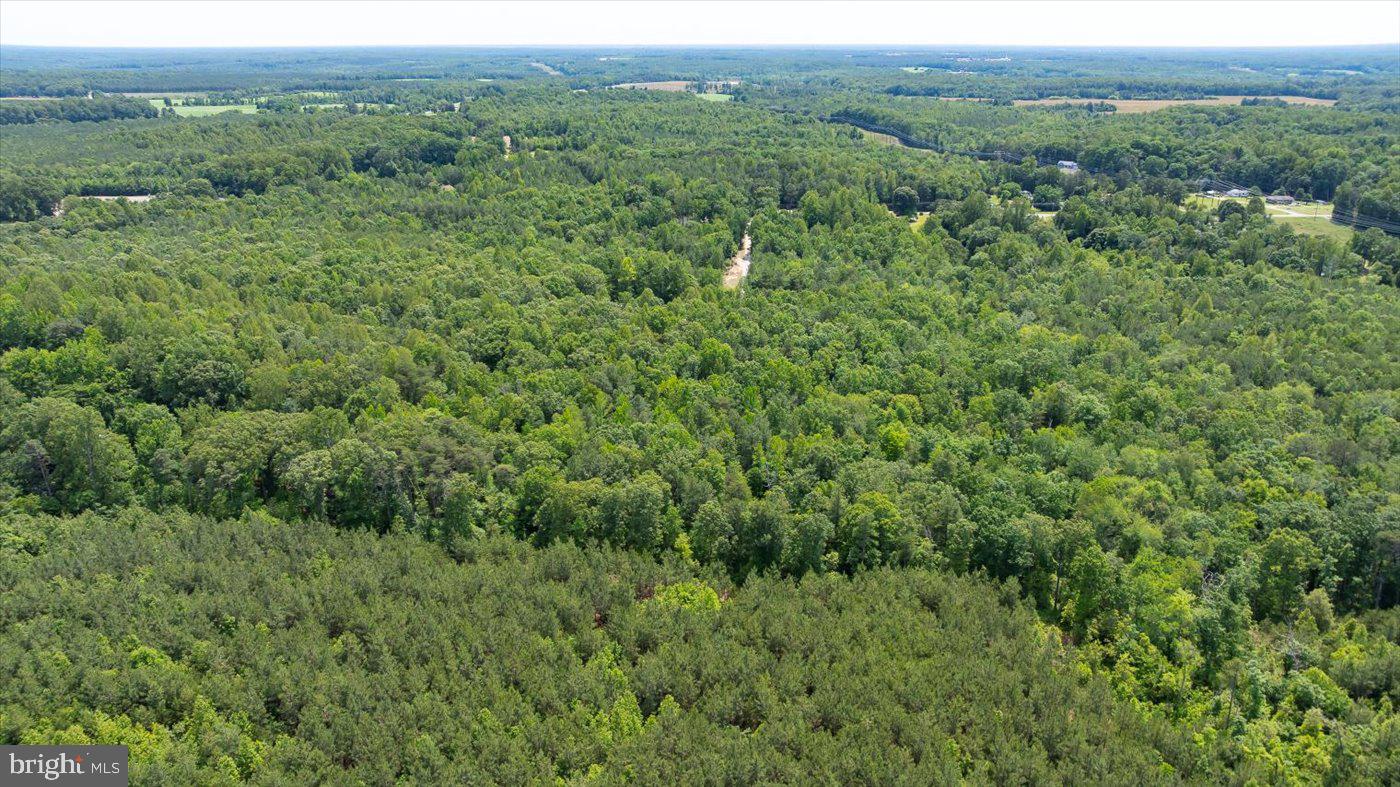 LOT 2 GOLANSVILLE RD, RUTHER GLEN, Virginia 22546, ,Land,For sale,LOT 2 GOLANSVILLE RD,VACV2008504 MLS # VACV2008504