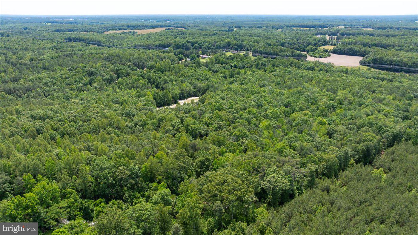 LOT 2 GOLANSVILLE RD, RUTHER GLEN, Virginia 22546, ,Land,For sale,LOT 2 GOLANSVILLE RD,VACV2008504 MLS # VACV2008504