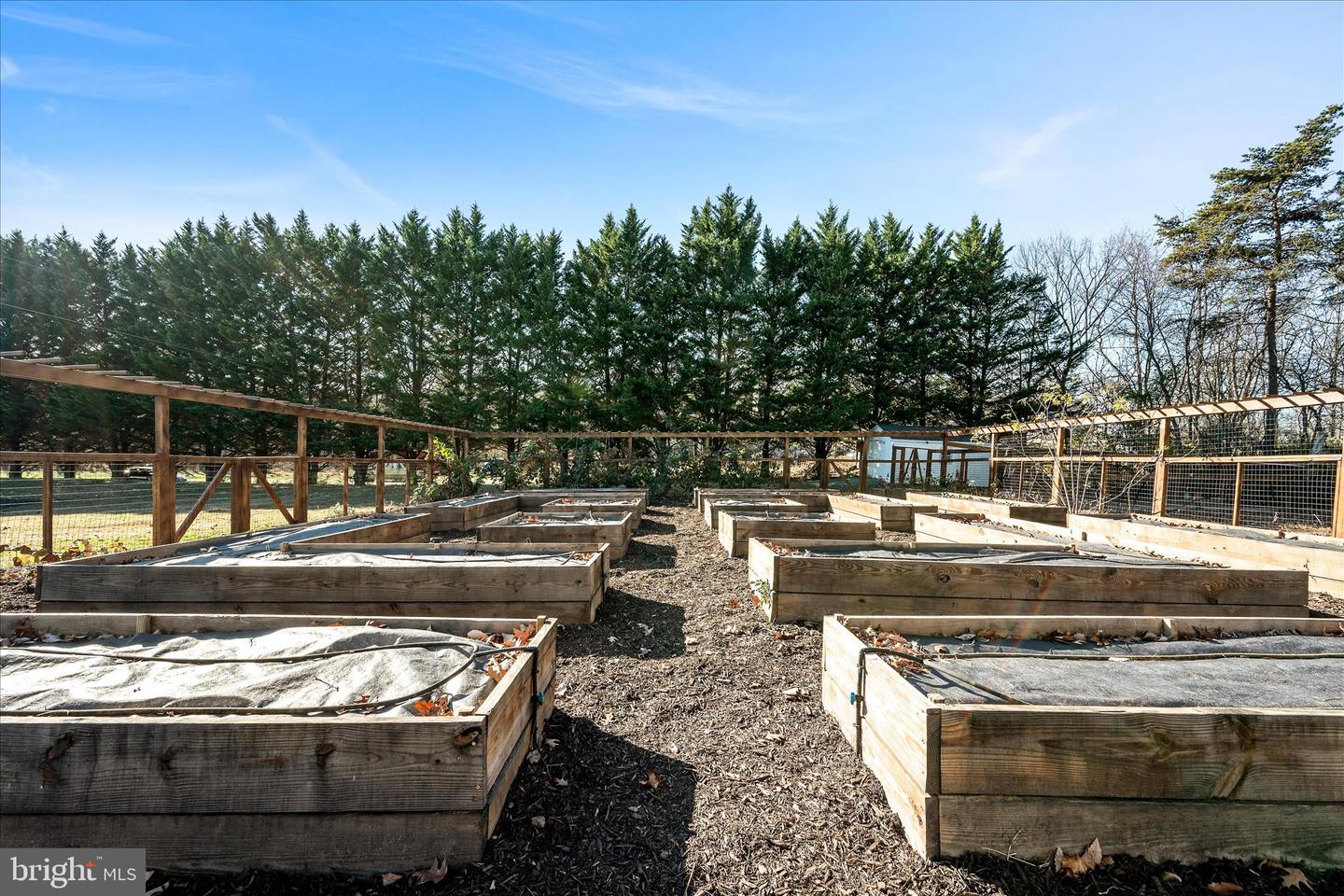 136 ROSE HILL LN, BERRYVILLE, Virginia 22611, 4 Bedrooms Bedrooms, ,3 BathroomsBathrooms,Residential,For sale,136 ROSE HILL LN,VACL2006250 MLS # VACL2006250