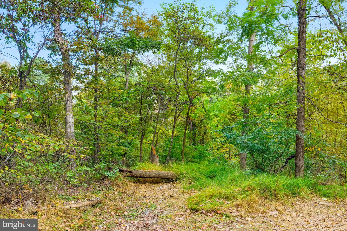 APPALACIAN TRAIL RD, ROUND HILL, Virginia 20141, ,Land,For sale,APPALACIAN TRAIL RD,VALO2108460 MLS # VALO2108460