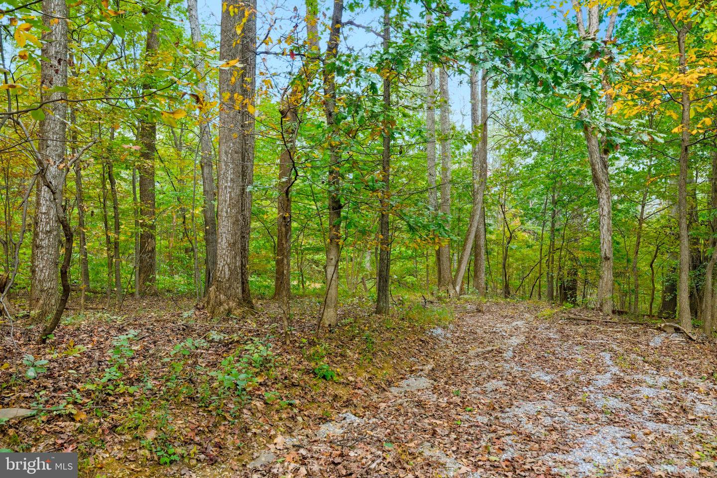 APPALACIAN TRAIL RD, ROUND HILL, Virginia 20141, ,Land,For sale,APPALACIAN TRAIL RD,VALO2108460 MLS # VALO2108460