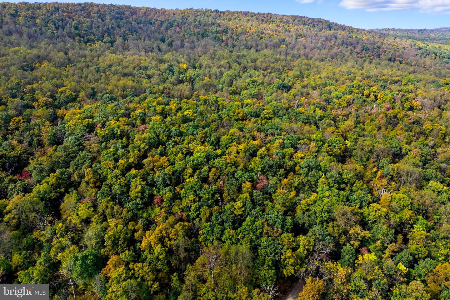 APPALACIAN TRAIL RD, ROUND HILL, Virginia 20141, ,Land,For sale,APPALACIAN TRAIL RD,VALO2108460 MLS # VALO2108460