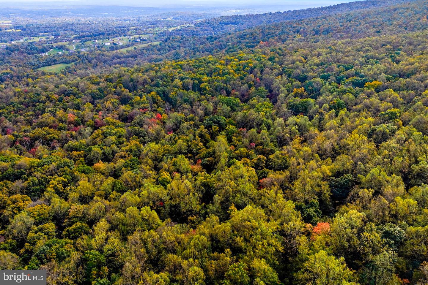 APPALACIAN TRAIL RD, ROUND HILL, Virginia 20141, ,Land,For sale,APPALACIAN TRAIL RD,VALO2108460 MLS # VALO2108460