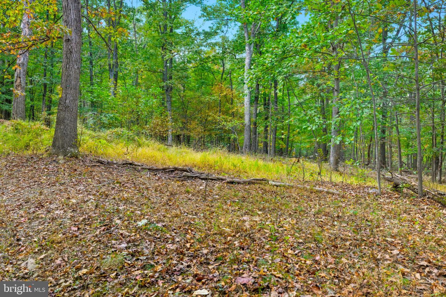 APPALACIAN TRAIL RD, ROUND HILL, Virginia 20141, ,Land,For sale,APPALACIAN TRAIL RD,VALO2108460 MLS # VALO2108460