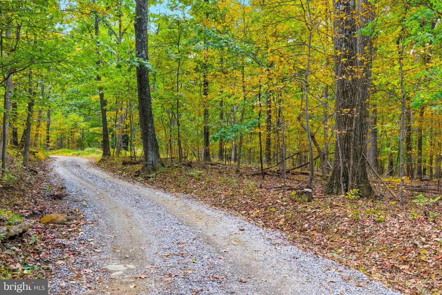 APPALACIAN TRAIL RD, ROUND HILL, Virginia 20141, ,Land,For sale,APPALACIAN TRAIL RD,VALO2108460 MLS # VALO2108460