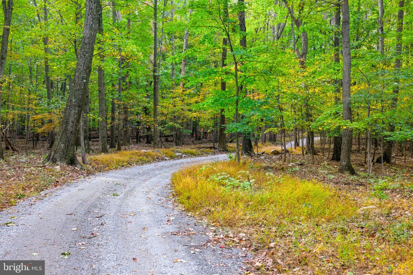 APPALACIAN TRAIL RD, ROUND HILL, Virginia 20141, ,Land,For sale,APPALACIAN TRAIL RD,VALO2108460 MLS # VALO2108460