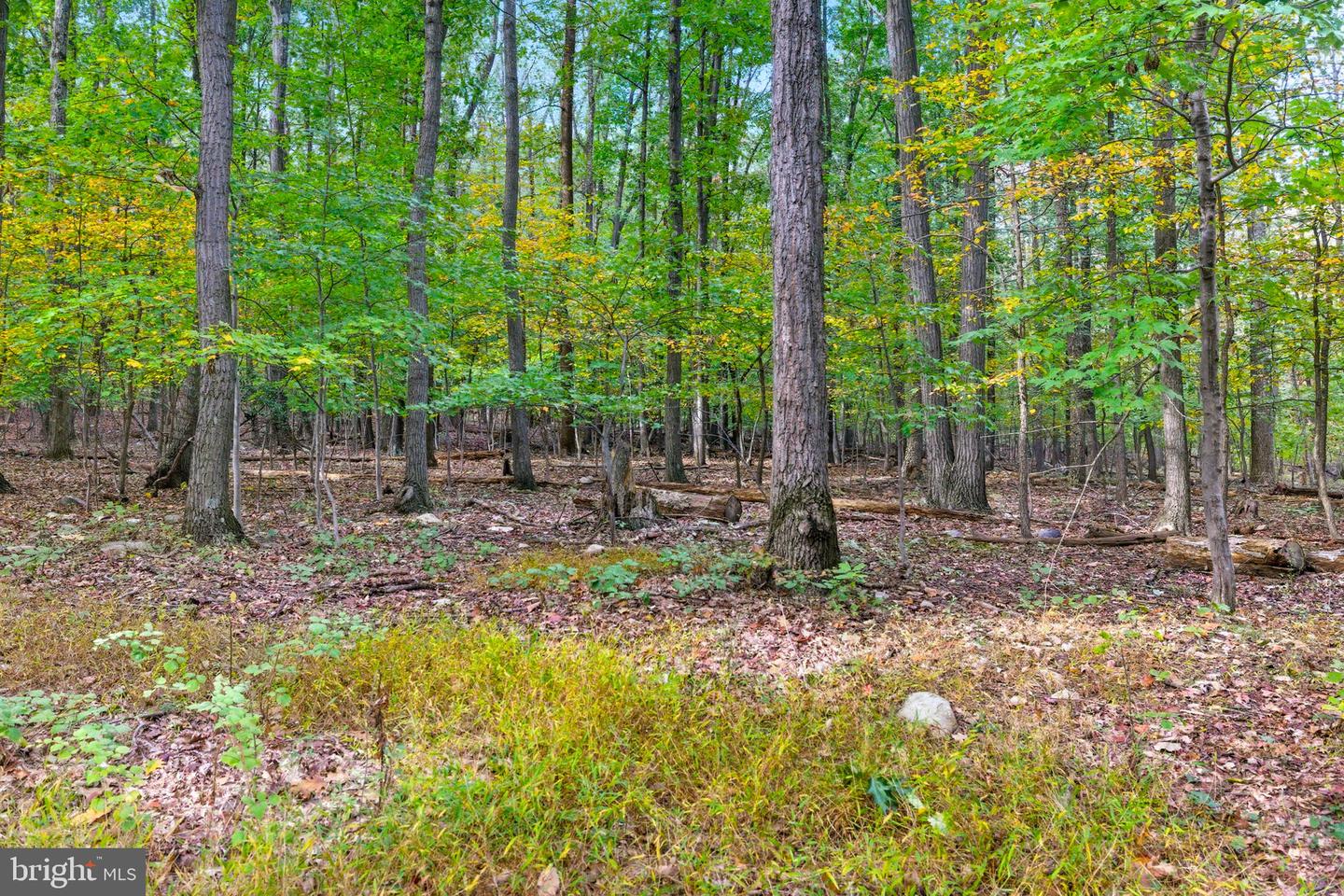 APPALACIAN TRAIL RD, ROUND HILL, Virginia 20141, ,Land,For sale,APPALACIAN TRAIL RD,VALO2108460 MLS # VALO2108460