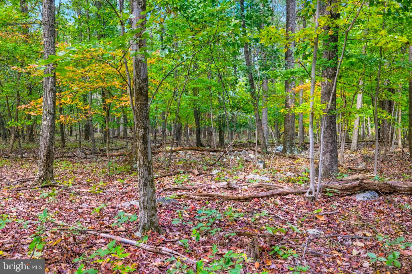 APPALACIAN TRAIL RD, ROUND HILL, Virginia 20141, ,Land,For sale,APPALACIAN TRAIL RD,VALO2108460 MLS # VALO2108460