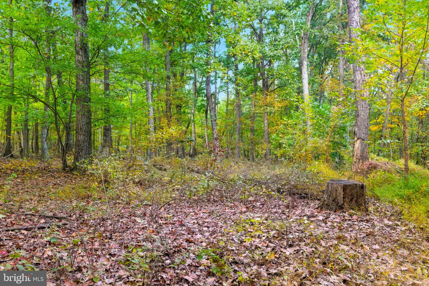 APPALACIAN TRAIL RD, ROUND HILL, Virginia 20141, ,Land,For sale,APPALACIAN TRAIL RD,VALO2108460 MLS # VALO2108460