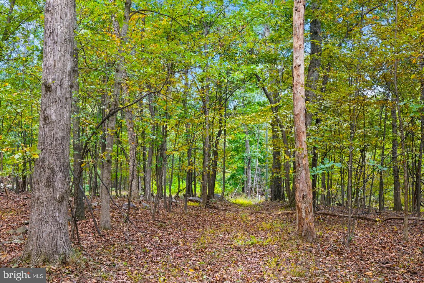 APPALACIAN TRAIL RD, ROUND HILL, Virginia 20141, ,Land,For sale,APPALACIAN TRAIL RD,VALO2108460 MLS # VALO2108460
