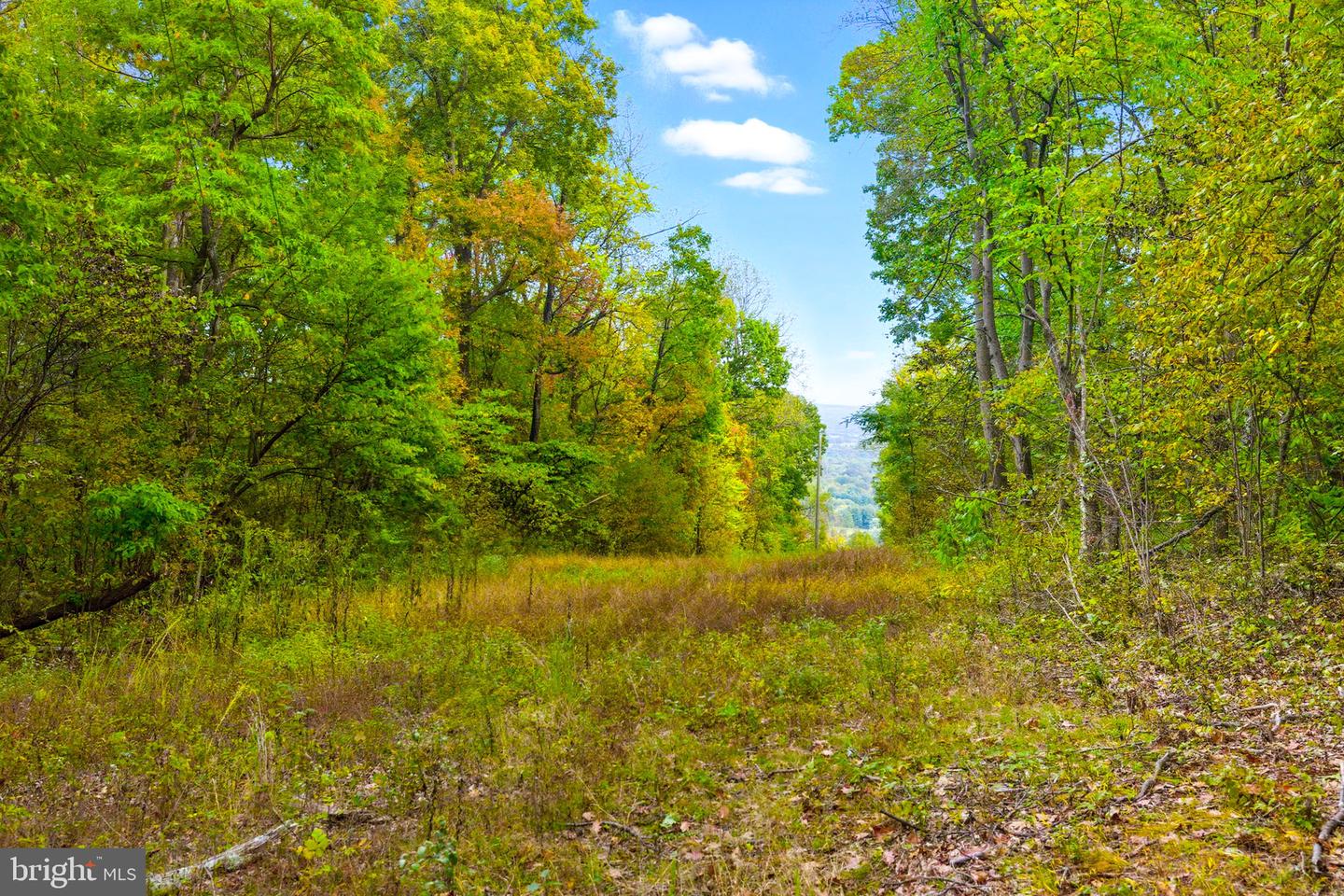 APPALACIAN TRAIL RD, ROUND HILL, Virginia 20141, ,Land,For sale,APPALACIAN TRAIL RD,VALO2108460 MLS # VALO2108460