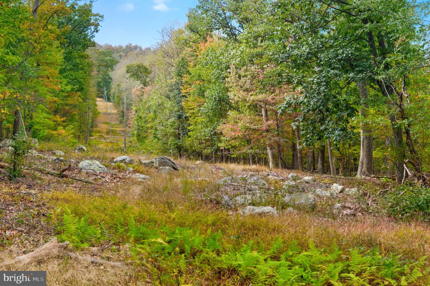 APPALACIAN TRAIL RD, ROUND HILL, Virginia 20141, ,Land,For sale,APPALACIAN TRAIL RD,VALO2108460 MLS # VALO2108460