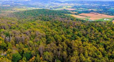 APPALACIAN TRAIL RD, ROUND HILL, Virginia 20141, ,Land,For sale,APPALACIAN TRAIL RD,VALO2108460 MLS # VALO2108460