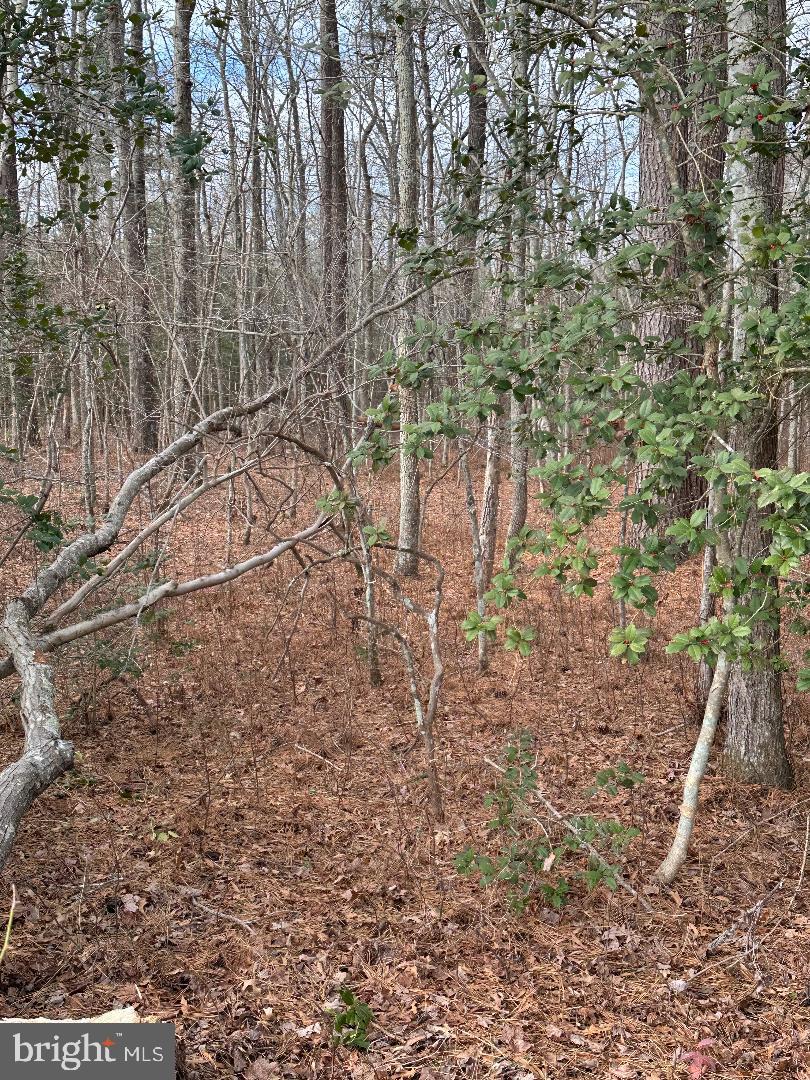 LOT 163A ERICA RD, MONTROSS, Virginia 22520, ,Land,For sale,LOT 163A ERICA RD,VAWE2010312 MLS # VAWE2010312 LOT 163A ERICA RD, MONTROSS, Virginia 22520, ,Land,For sale,LOT 163A ERICA RD,VAWE2010312 MLS # VAWE2010312