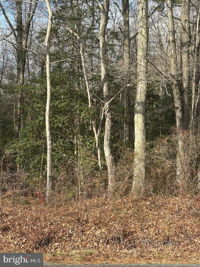 LOT 163A ERICA RD, MONTROSS, Virginia 22520, ,Land,For sale,LOT 163A ERICA RD,VAWE2010312 MLS # VAWE2010312 LOT 163A ERICA RD, MONTROSS, Virginia 22520, ,Land,For sale,LOT 163A ERICA RD,VAWE2010312 MLS # VAWE2010312