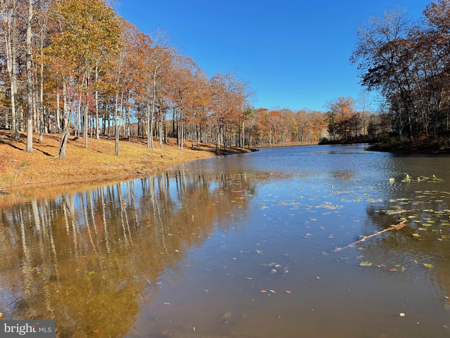 10405-LOT 2 PINEY BRANCH RD, SPOTSYLVANIA, Virginia 22553, ,Land,For sale,10405-LOT 2 PINEY BRANCH RD,VASP2038424 MLS # VASP2038424