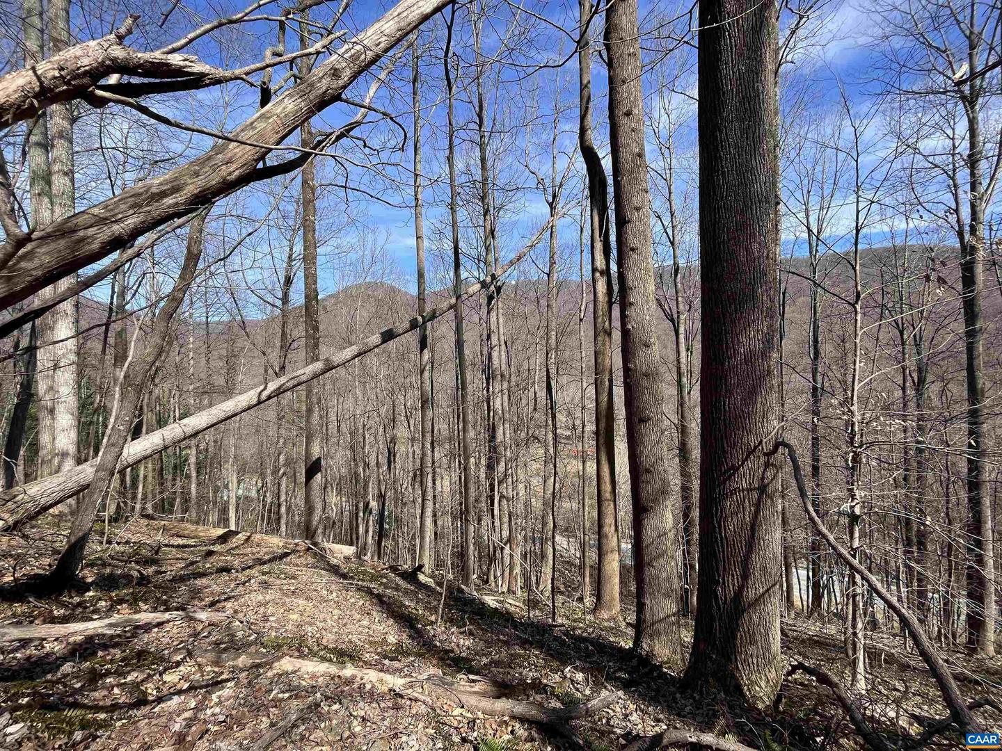 TBD BEECH GROVE RD, ROSELAND, Virginia 22967, ,Land,For sale,TBD BEECH GROVE RD,672179 MLS # 672179