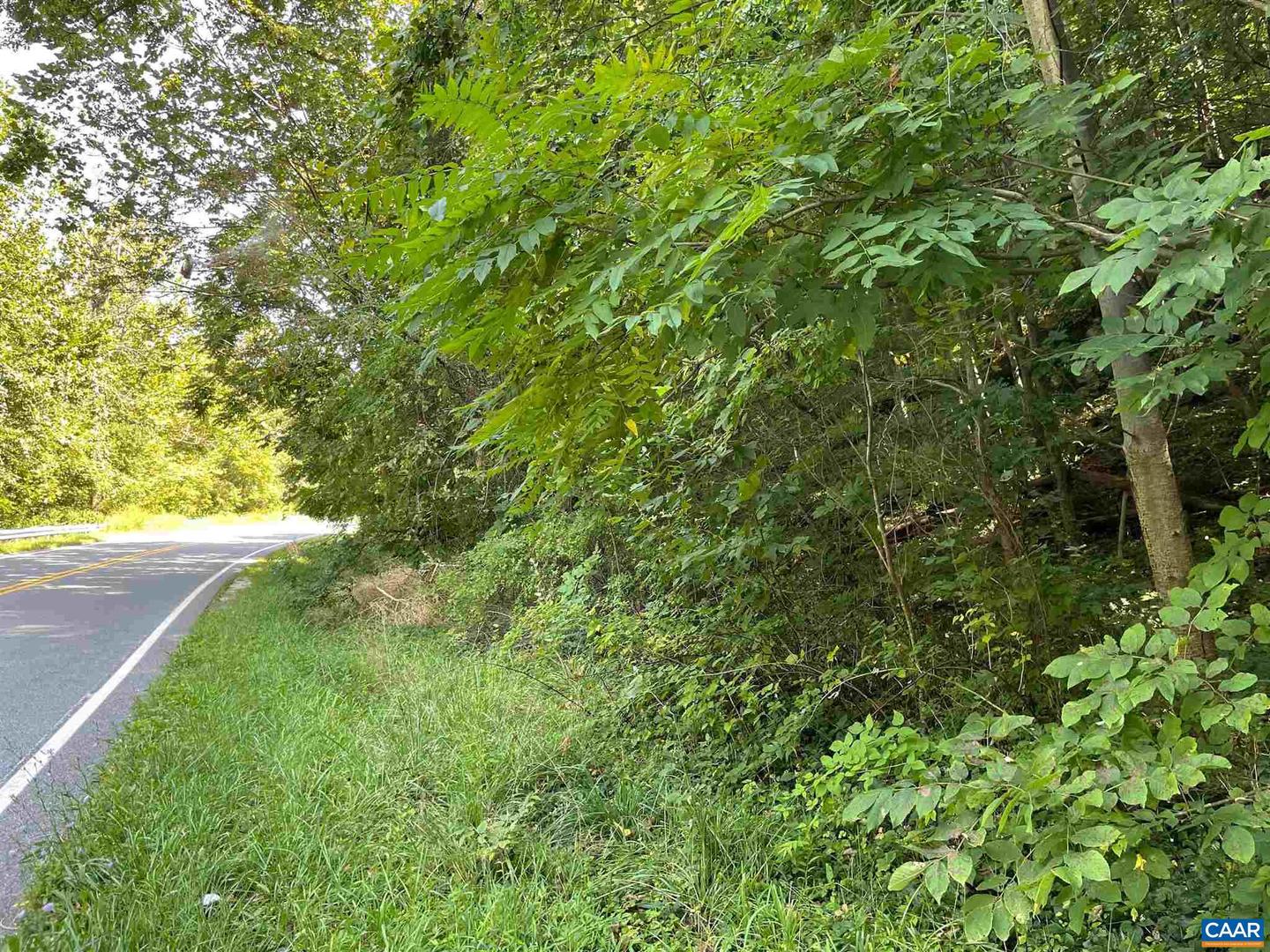 TBD BEECH GROVE RD, ROSELAND, Virginia 22967, ,Land,For sale,TBD BEECH GROVE RD,672179 MLS # 672179 TBD BEECH GROVE RD, ROSELAND, Virginia 22967, ,Land,For sale,TBD BEECH GROVE RD,672179 MLS # 672179