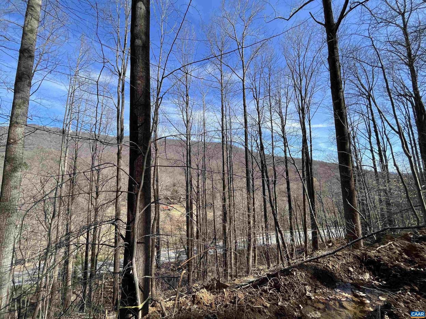 TBD BEECH GROVE RD, ROSELAND, Virginia 22967, ,Land,For sale,TBD BEECH GROVE RD,672179 MLS # 672179 TBD BEECH GROVE RD, ROSELAND, Virginia 22967, ,Land,For sale,TBD BEECH GROVE RD,672179 MLS # 672179