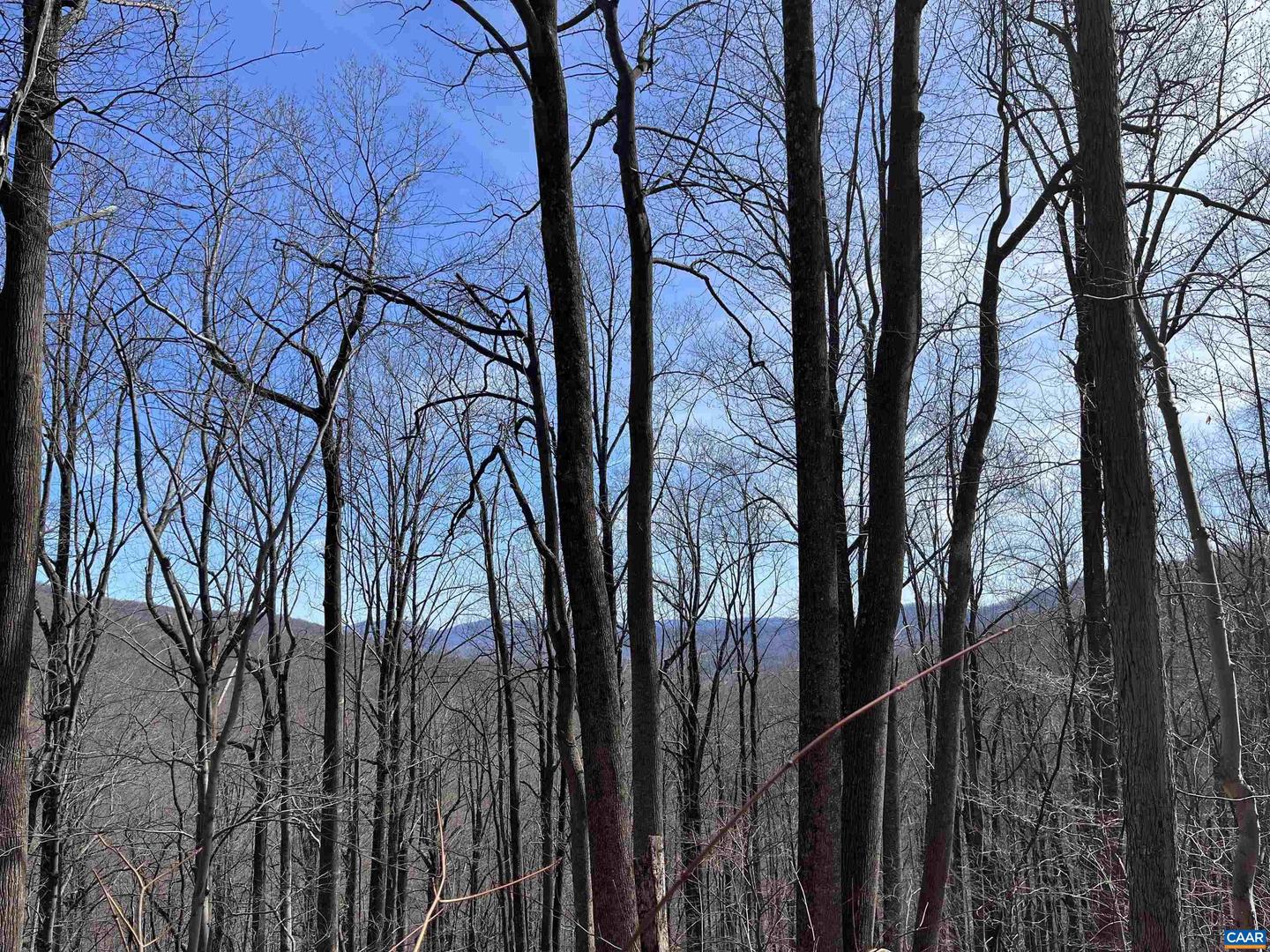 TBD BEECH GROVE RD, ROSELAND, Virginia 22967, ,Land,For sale,TBD BEECH GROVE RD,672179 MLS # 672179 TBD BEECH GROVE RD, ROSELAND, Virginia 22967, ,Land,For sale,TBD BEECH GROVE RD,672179 MLS # 672179