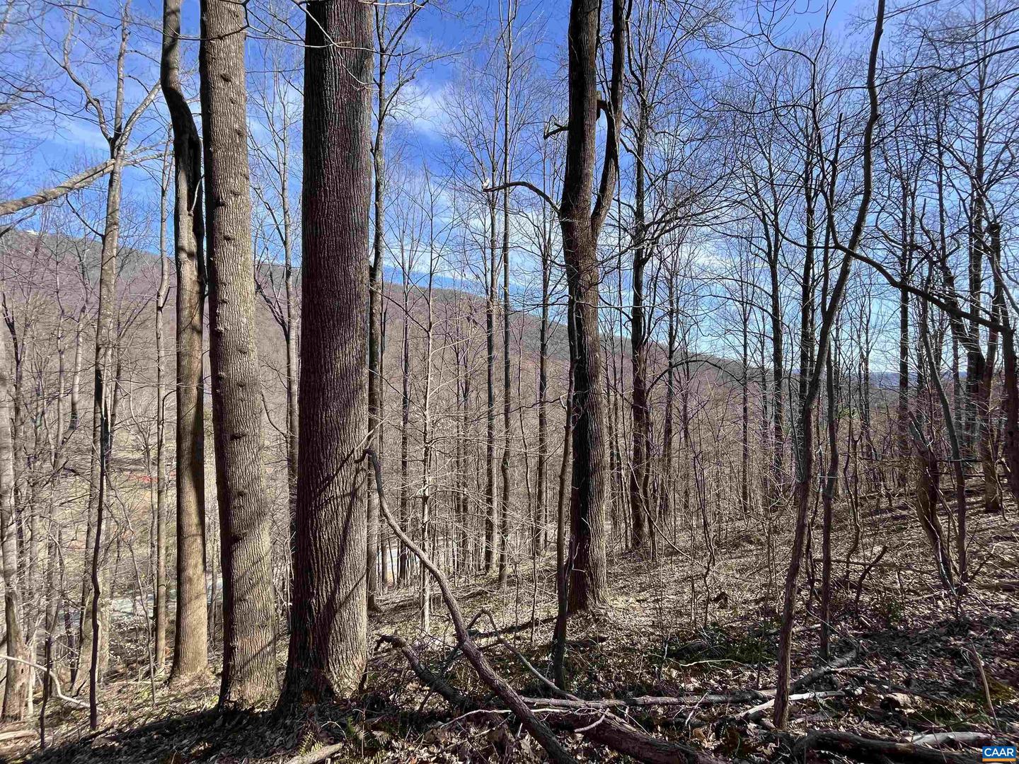 TBD BEECH GROVE RD, ROSELAND, Virginia 22967, ,Land,For sale,TBD BEECH GROVE RD,672179 MLS # 672179 TBD BEECH GROVE RD, ROSELAND, Virginia 22967, ,Land,For sale,TBD BEECH GROVE RD,672179 MLS # 672179