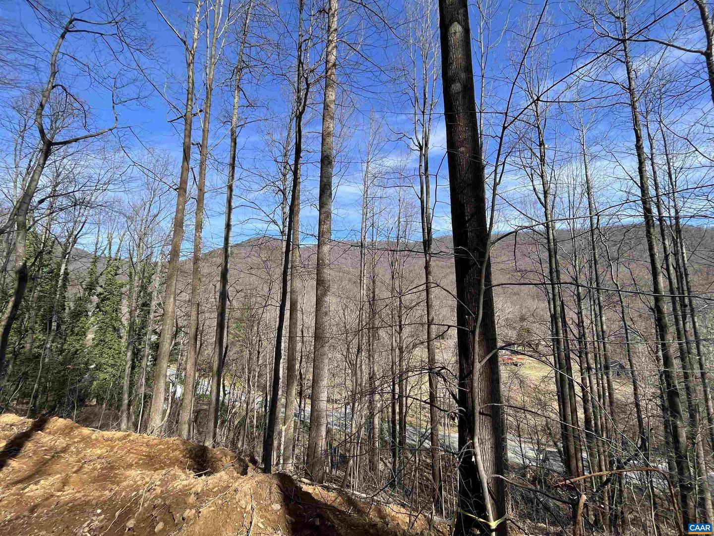 TBD BEECH GROVE RD, ROSELAND, Virginia 22967, ,Land,For sale,TBD BEECH GROVE RD,672179 MLS # 672179 TBD BEECH GROVE RD, ROSELAND, Virginia 22967, ,Land,For sale,TBD BEECH GROVE RD,672179 MLS # 672179