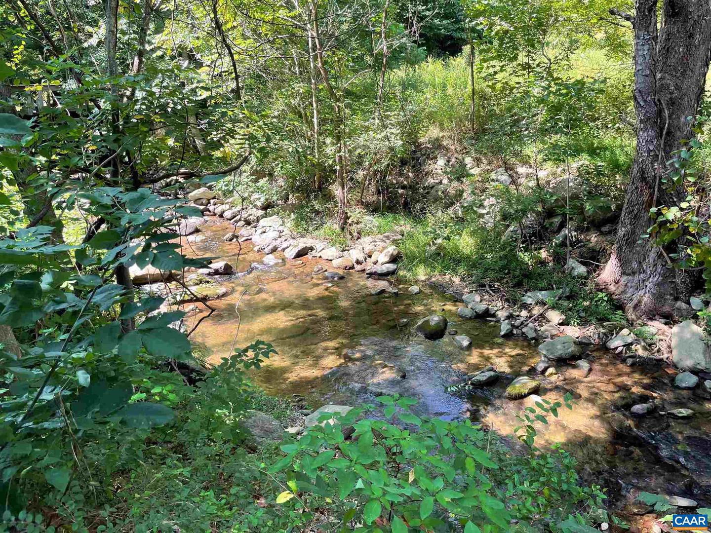 TBD BEECH GROVE RD, ROSELAND, Virginia 22967, ,Land,For sale,TBD BEECH GROVE RD,672179 MLS # 672179 TBD BEECH GROVE RD, ROSELAND, Virginia 22967, ,Land,For sale,TBD BEECH GROVE RD,672179 MLS # 672179