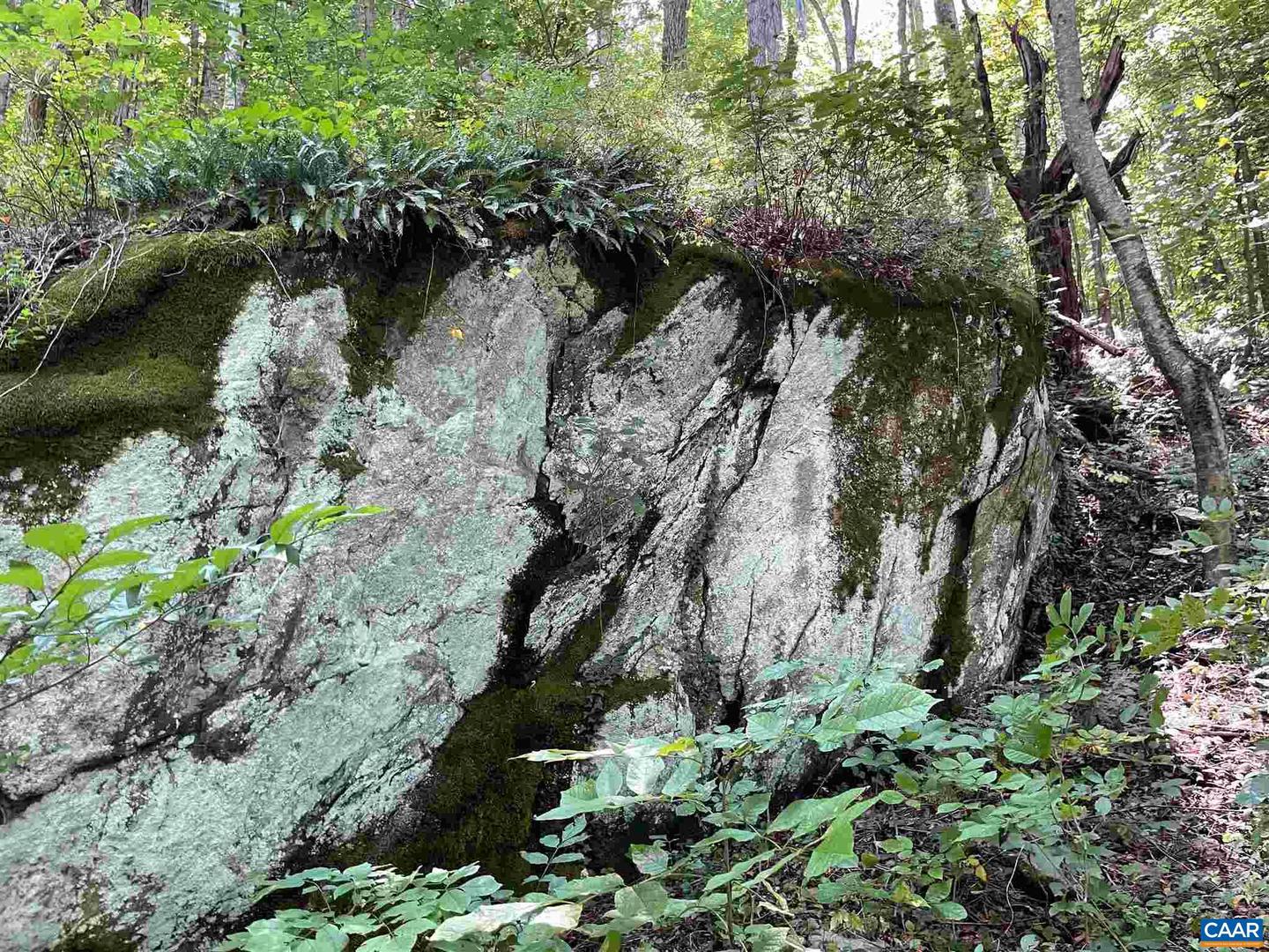 TBD BEECH GROVE RD, ROSELAND, Virginia 22967, ,Land,For sale,TBD BEECH GROVE RD,672179 MLS # 672179 TBD BEECH GROVE RD, ROSELAND, Virginia 22967, ,Land,For sale,TBD BEECH GROVE RD,672179 MLS # 672179