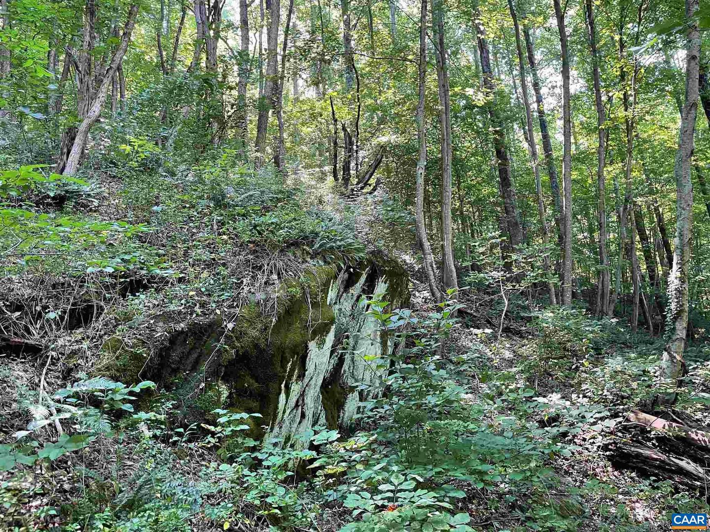 TBD BEECH GROVE RD, ROSELAND, Virginia 22967, ,Land,For sale,TBD BEECH GROVE RD,672179 MLS # 672179 TBD BEECH GROVE RD, ROSELAND, Virginia 22967, ,Land,For sale,TBD BEECH GROVE RD,672179 MLS # 672179