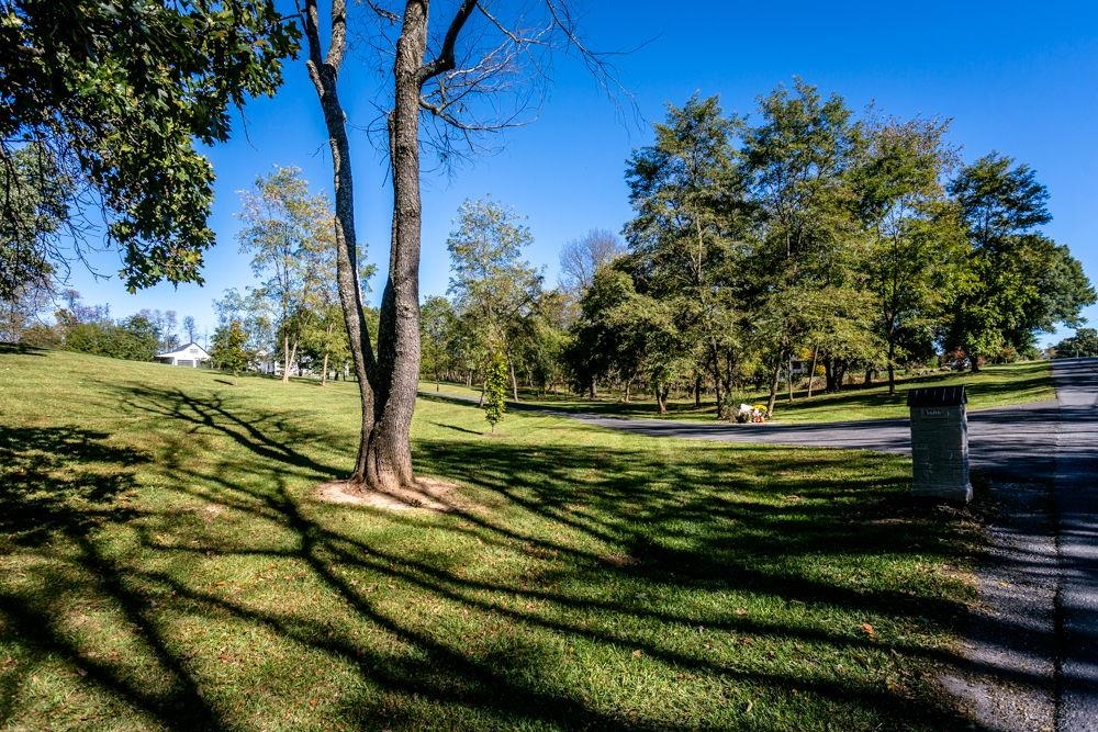 3606 WINSINGER DR, BROADWAY, Virginia 22815, 5 Bedrooms Bedrooms, ,4 BathroomsBathrooms,Residential,3606 WINSINGER DR,658189 MLS # 658189