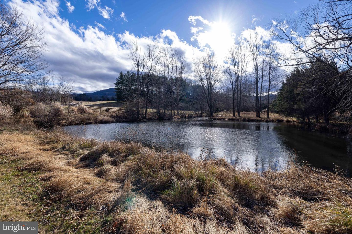 1159 PINE GROVE RD, STANLEY, Virginia 22851, 3 Bedrooms Bedrooms, 7 Rooms Rooms,1 BathroomBathrooms,Farm,For sale,1159 PINE GROVE RD,VAPA2005826 MLS # VAPA2005826 1159 PINE GROVE RD, STANLEY, Virginia 22851, 3 Bedrooms Bedrooms, 7 Rooms Rooms,1 BathroomBathrooms,Farm,For sale,1159 PINE GROVE RD,VAPA2005826 MLS # VAPA2005826