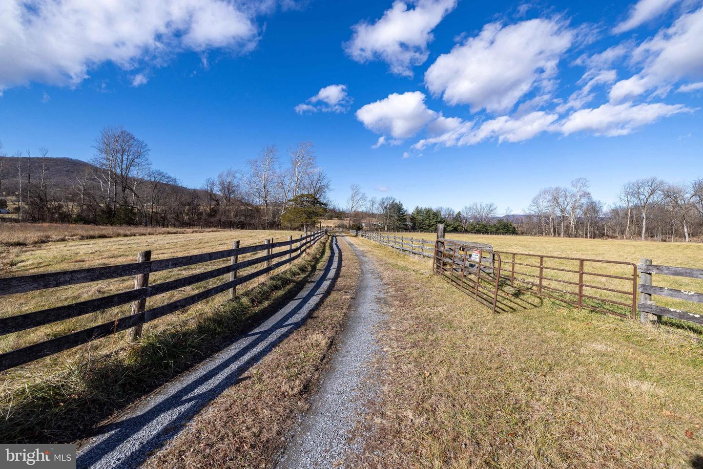 1159 PINE GROVE RD, STANLEY, Virginia 22851, 3 Bedrooms Bedrooms, 7 Rooms Rooms,1 BathroomBathrooms,Farm,For sale,1159 PINE GROVE RD,VAPA2005826 MLS # VAPA2005826 1159 PINE GROVE RD, STANLEY, Virginia 22851, 3 Bedrooms Bedrooms, 7 Rooms Rooms,1 BathroomBathrooms,Farm,For sale,1159 PINE GROVE RD,VAPA2005826 MLS # VAPA2005826