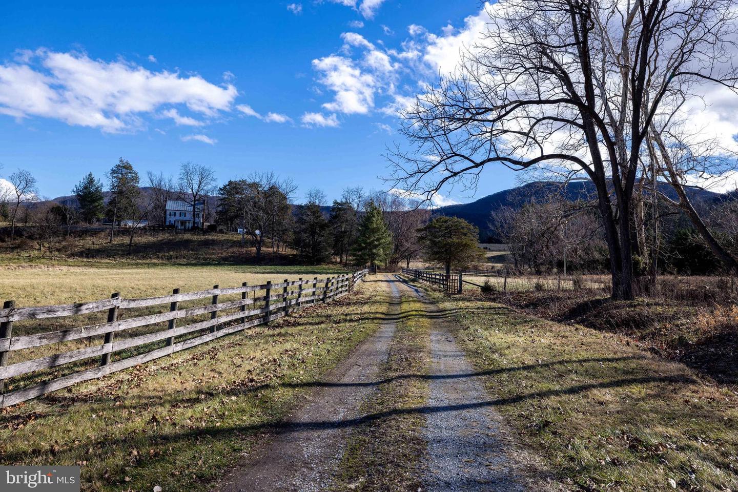 1159 PINE GROVE RD, STANLEY, Virginia 22851, 3 Bedrooms Bedrooms, 7 Rooms Rooms,1 BathroomBathrooms,Farm,For sale,1159 PINE GROVE RD,VAPA2005826 MLS # VAPA2005826 1159 PINE GROVE RD, STANLEY, Virginia 22851, 3 Bedrooms Bedrooms, 7 Rooms Rooms,1 BathroomBathrooms,Farm,For sale,1159 PINE GROVE RD,VAPA2005826 MLS # VAPA2005826