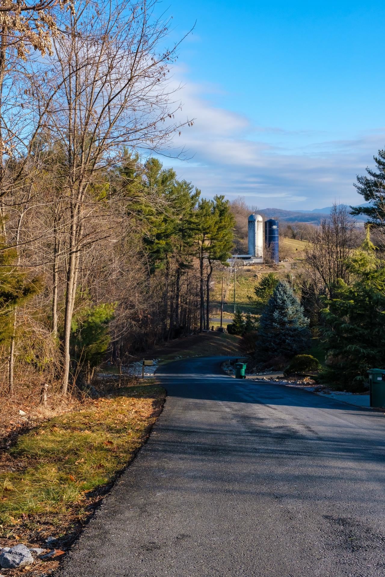 TBD STEEPLECHASE DR, PENN LAIRD, Virginia 22846, ,Land,TBD STEEPLECHASE DR,672193 MLS # 672193