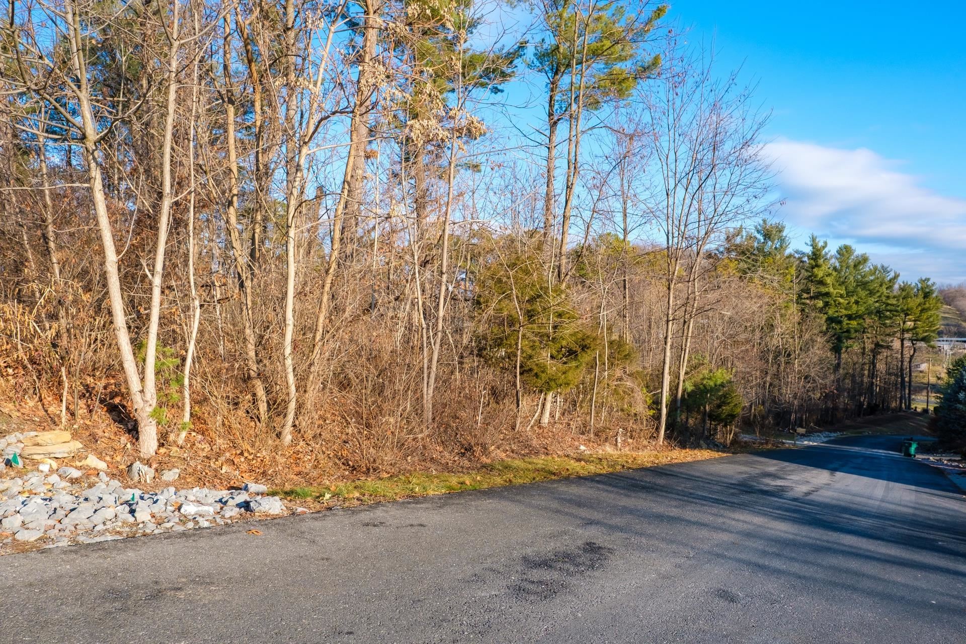 TBD STEEPLECHASE DR, PENN LAIRD, Virginia 22846, ,Land,TBD STEEPLECHASE DR,672193 MLS # 672193