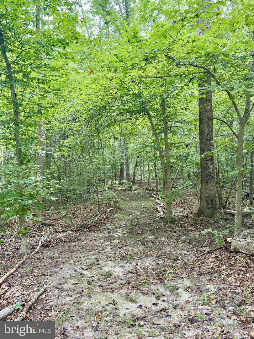 8800 MILLWOOD DR, SPOTSYLVANIA, Virginia 22551, 3 Bedrooms Bedrooms, ,2 BathroomsBathrooms,Residential,For sale,8800 MILLWOOD DR,VASP2031730 MLS # VASP2031730 8800 MILLWOOD DR, SPOTSYLVANIA, Virginia 22551, 3 Bedrooms Bedrooms, ,2 BathroomsBathrooms,Residential,For sale,8800 MILLWOOD DR,VASP2031730 MLS # VASP2031730