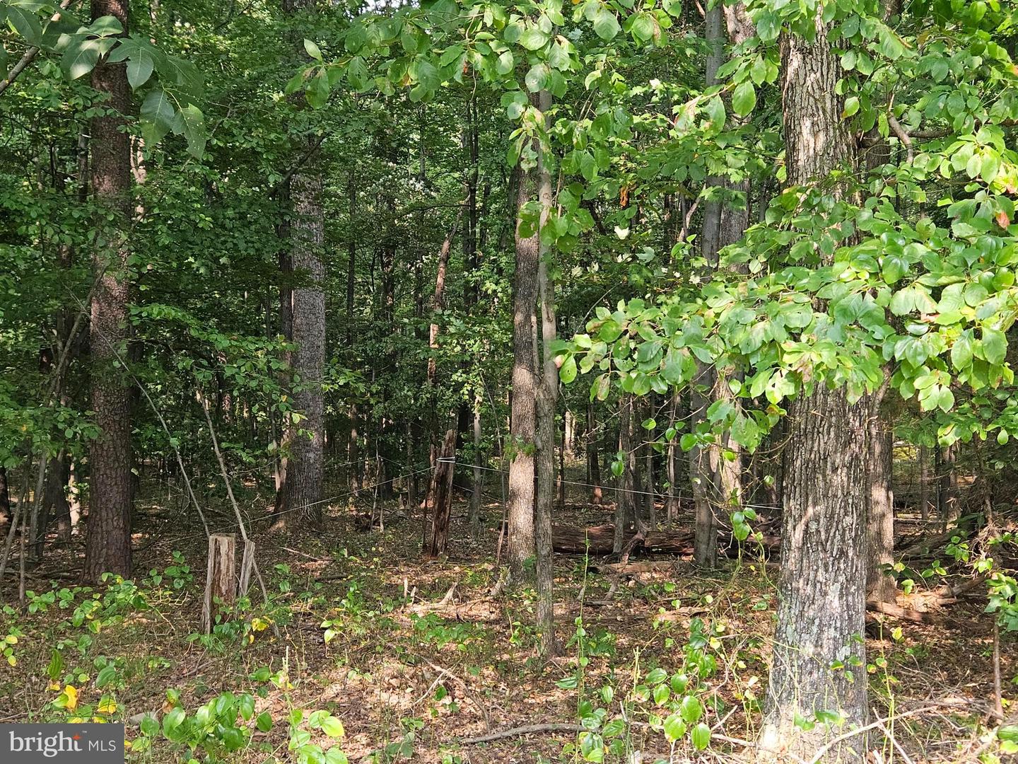 4169 MOUNTAIN RD, HAYMARKET, Virginia 20169, ,Land,For sale,4169 MOUNTAIN RD,VAPW2103722 MLS # VAPW2103722