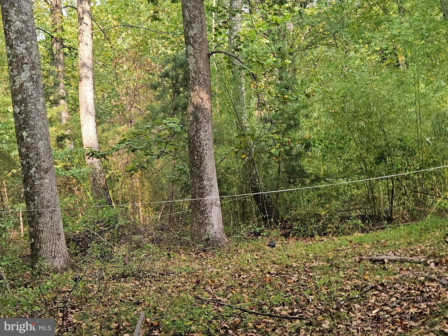 4169 MOUNTAIN RD, HAYMARKET, Virginia 20169, ,Land,For sale,4169 MOUNTAIN RD,VAPW2103722 MLS # VAPW2103722