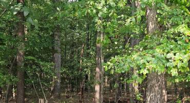 4169 MOUNTAIN RD, HAYMARKET, Virginia 20169, ,Land,For sale,4169 MOUNTAIN RD,VAPW2103722 MLS # VAPW2103722