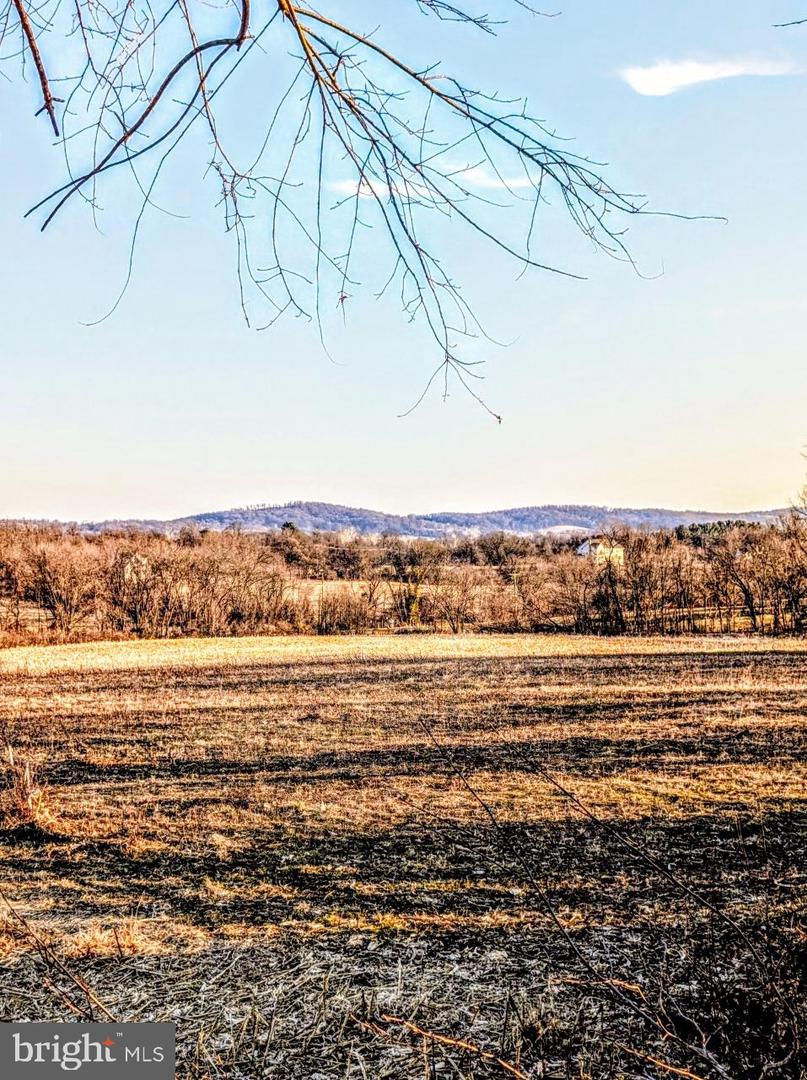 40455 QUARTER BRANCH RD, LOVETTSVILLE, Virginia 20180, ,Land,For sale,40455 QUARTER BRANCH RD,VALO2113386 MLS # VALO2113386 40455 QUARTER BRANCH RD, LOVETTSVILLE, Virginia 20180, ,Land,For sale,40455 QUARTER BRANCH RD,VALO2113386 MLS # VALO2113386