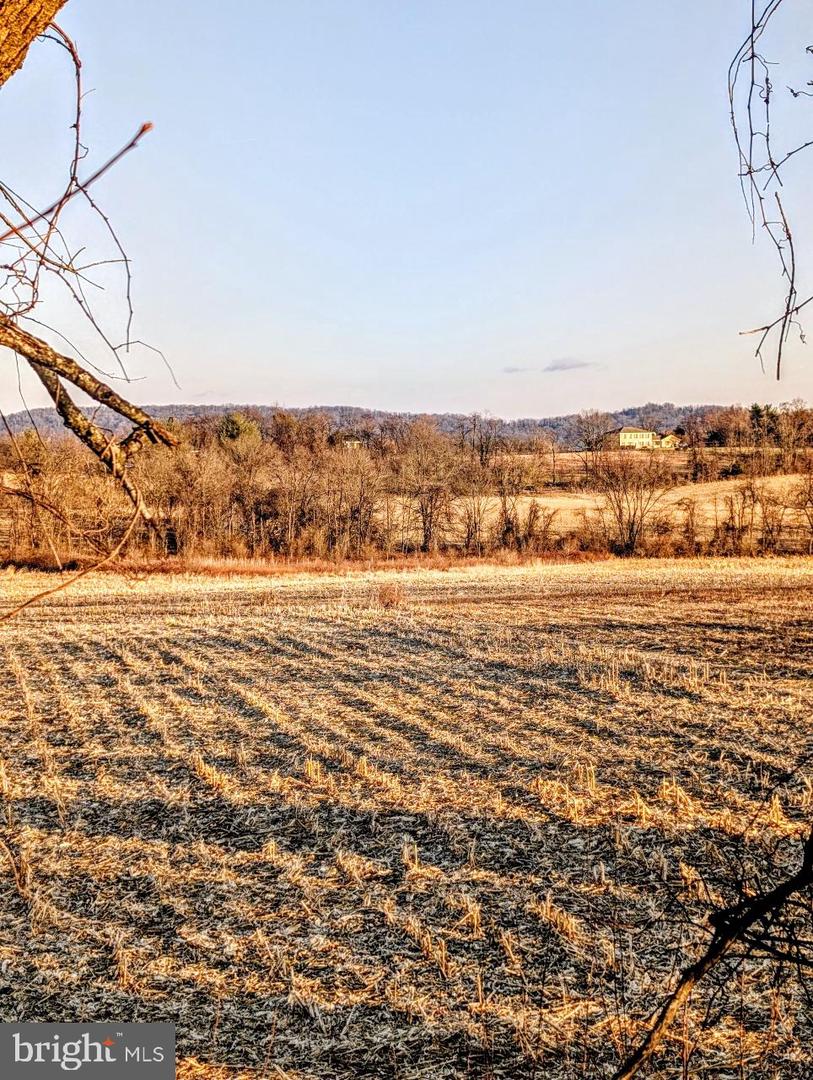 40455 QUARTER BRANCH RD, LOVETTSVILLE, Virginia 20180, ,Land,For sale,40455 QUARTER BRANCH RD,VALO2113386 MLS # VALO2113386 40455 QUARTER BRANCH RD, LOVETTSVILLE, Virginia 20180, ,Land,For sale,40455 QUARTER BRANCH RD,VALO2113386 MLS # VALO2113386