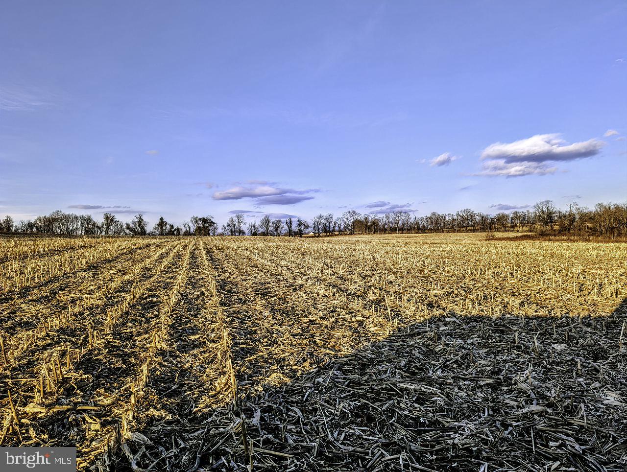 40455 QUARTER BRANCH RD, LOVETTSVILLE, Virginia 20180, ,Land,For sale,40455 QUARTER BRANCH RD,VALO2113386 MLS # VALO2113386 40455 QUARTER BRANCH RD, LOVETTSVILLE, Virginia 20180, ,Land,For sale,40455 QUARTER BRANCH RD,VALO2113386 MLS # VALO2113386