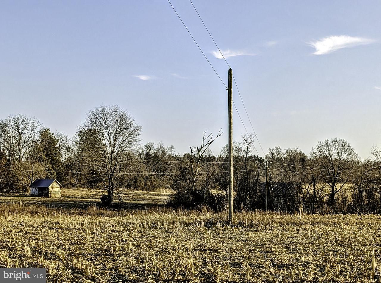 40455 QUARTER BRANCH RD, LOVETTSVILLE, Virginia 20180, ,Land,For sale,40455 QUARTER BRANCH RD,VALO2113386 MLS # VALO2113386 40455 QUARTER BRANCH RD, LOVETTSVILLE, Virginia 20180, ,Land,For sale,40455 QUARTER BRANCH RD,VALO2113386 MLS # VALO2113386