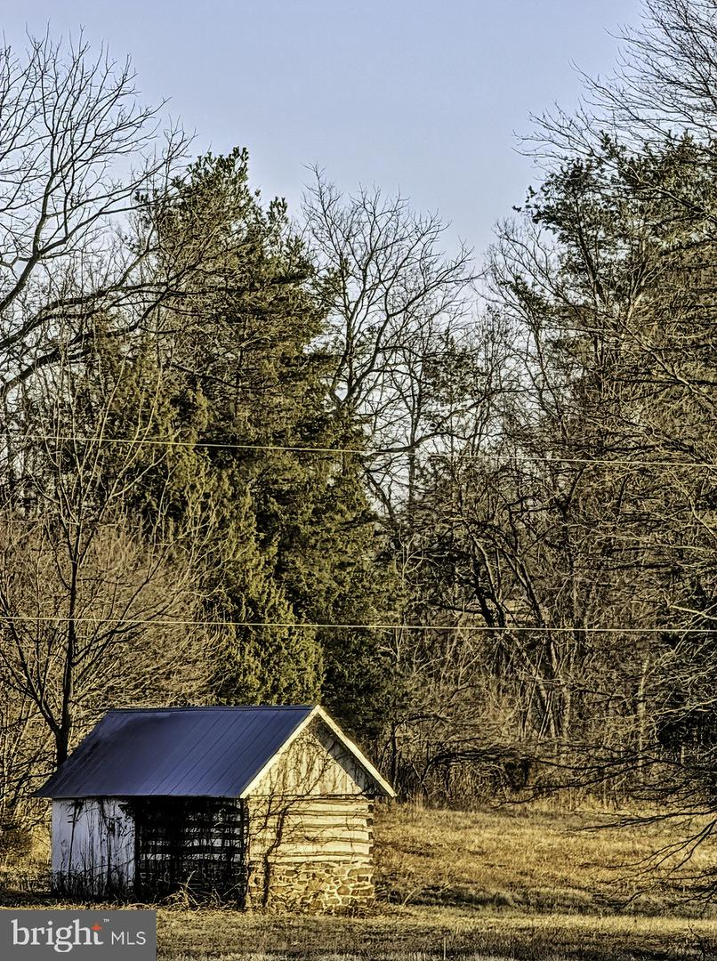 40455 QUARTER BRANCH RD, LOVETTSVILLE, Virginia 20180, ,Land,For sale,40455 QUARTER BRANCH RD,VALO2113386 MLS # VALO2113386 40455 QUARTER BRANCH RD, LOVETTSVILLE, Virginia 20180, ,Land,For sale,40455 QUARTER BRANCH RD,VALO2113386 MLS # VALO2113386